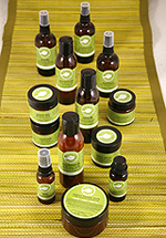 �p�[�t�F�N�g�|�[�V�����X�܎ʐ^2