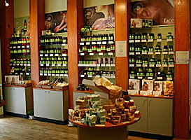 �p�[�t�F�N�g�|�[�V���� �X�܎ʐ^